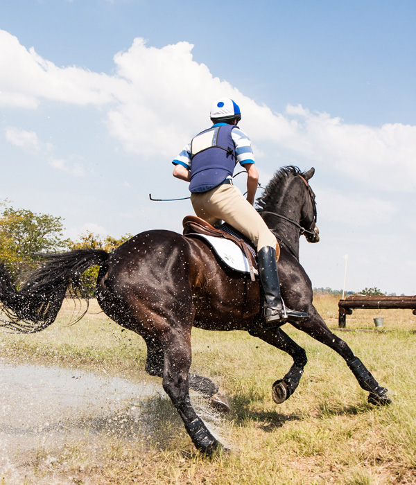 horse riding in udaipur